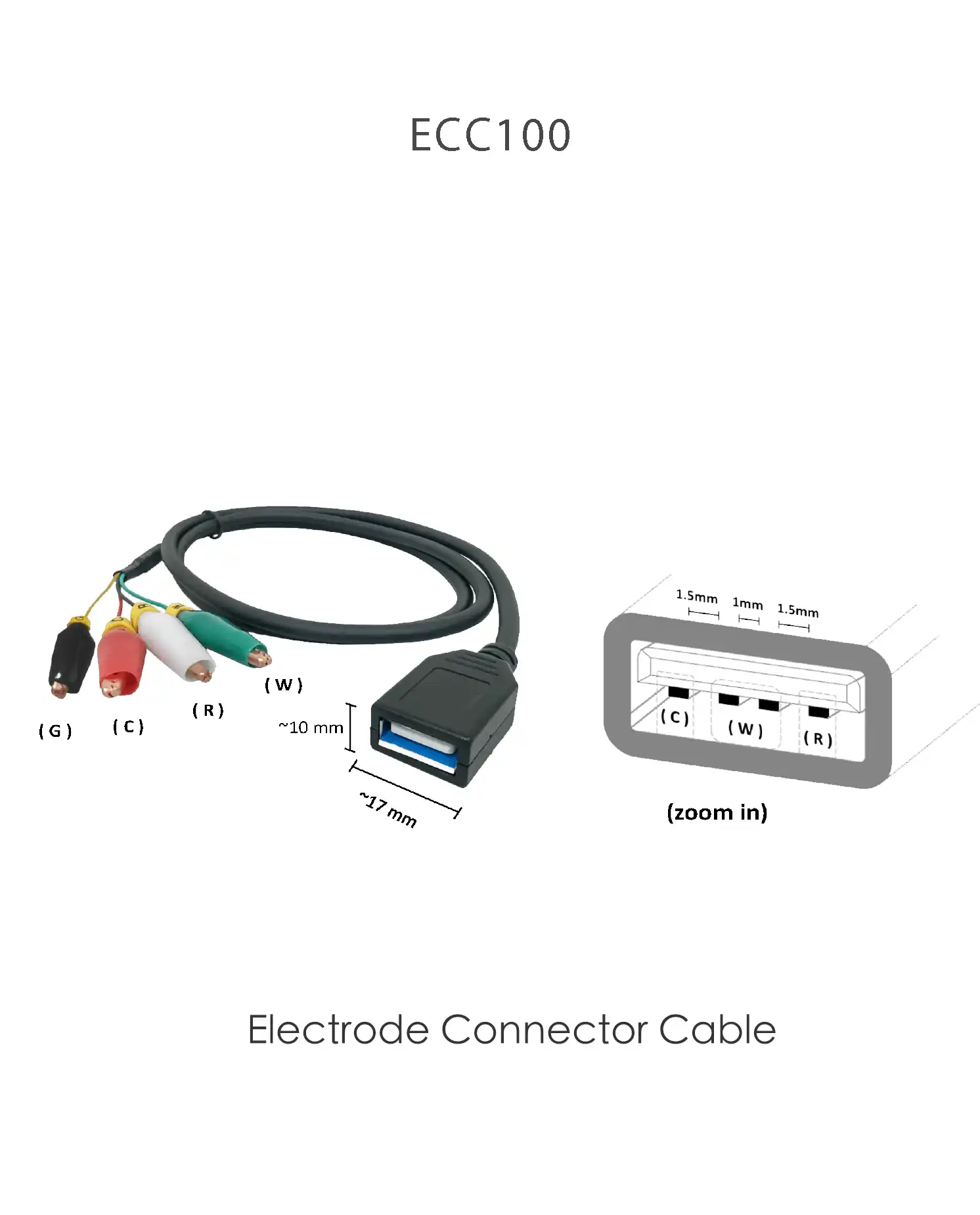 Zensor R&D スクリーン印刷電極(SPE) ECC100